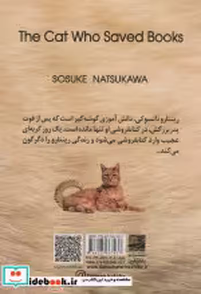 خرید کتاب گربه ای که کتاب ها را نجات داد نشر دانش آفرین | ایده بوک
