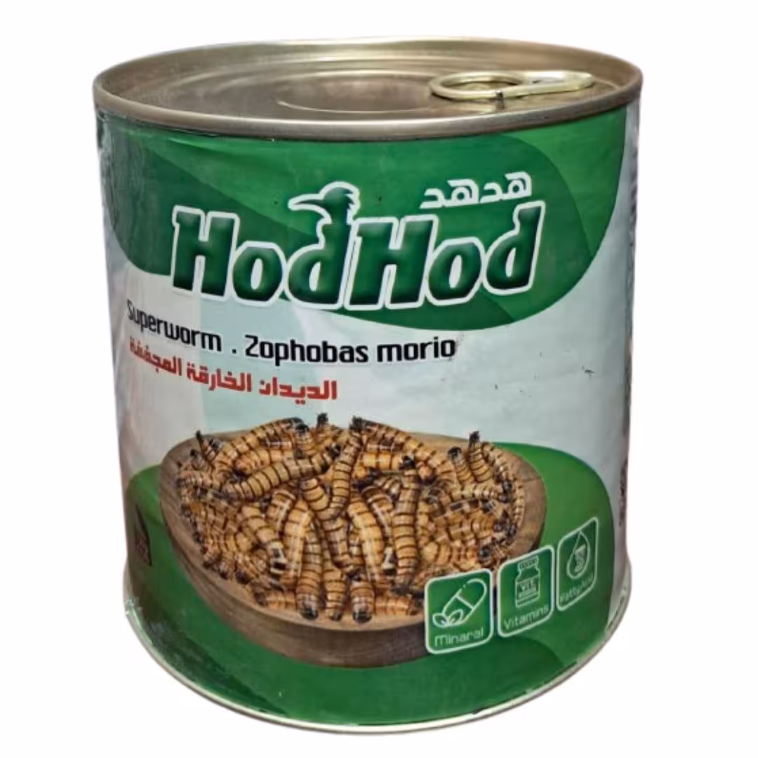 سوپر میل ورم برند هدهد