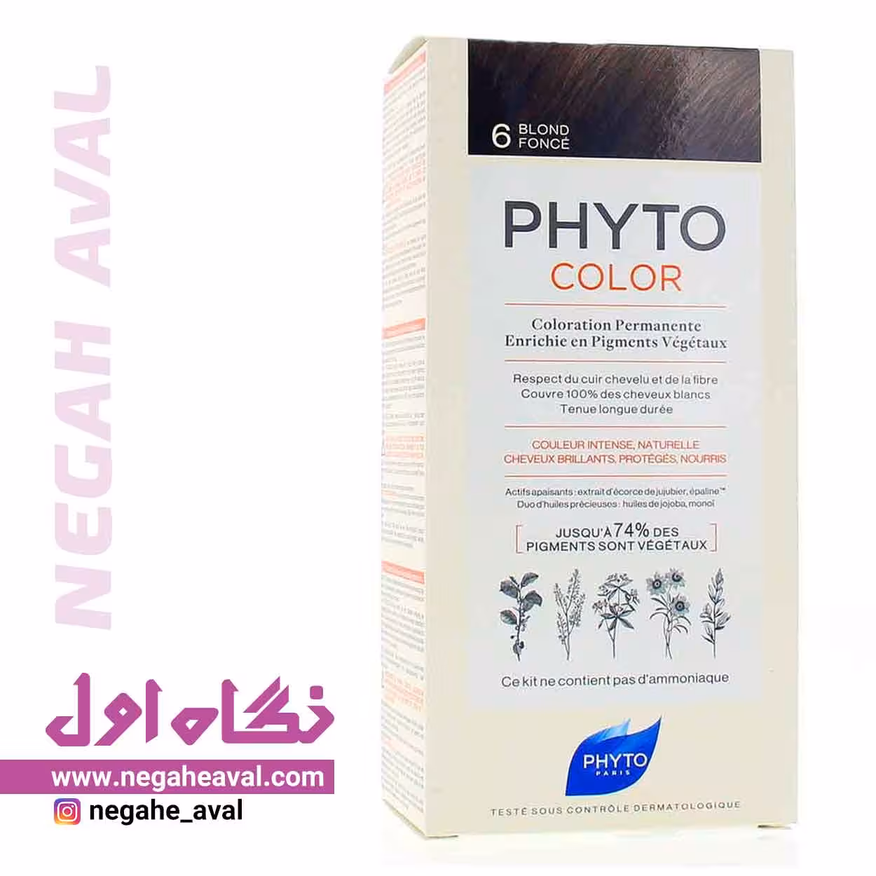 کیت رنگ مو PHYTO COLOR فیتو شماره 6 طبیعی
