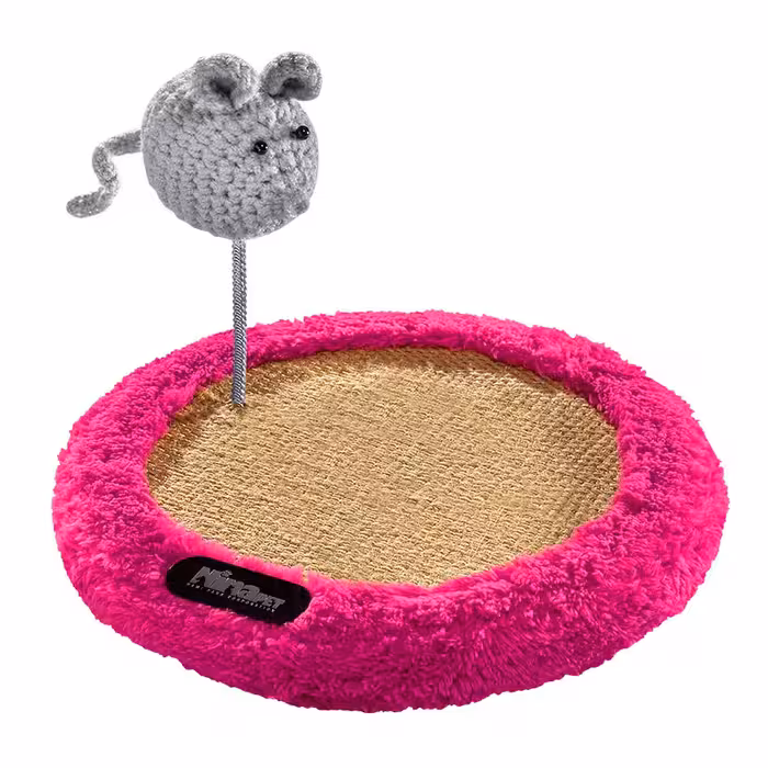 مینی اسکرچر گربه