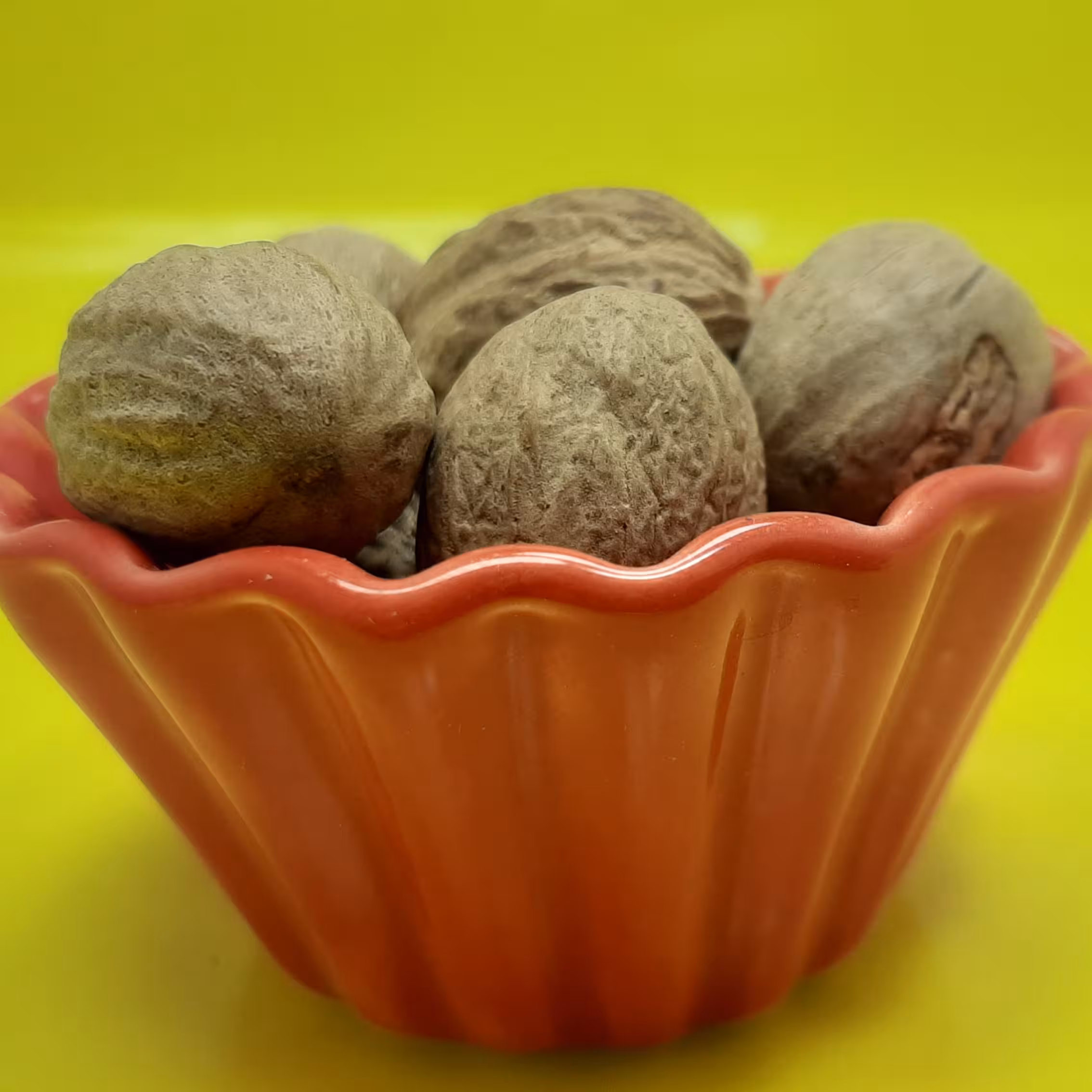 جوزهندی(25 گرمی)