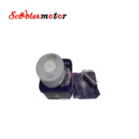 رینگ و پیستون تکنو تی وی اس راکس و نئو 125 tvs (rockz,neo) شماره 1/00