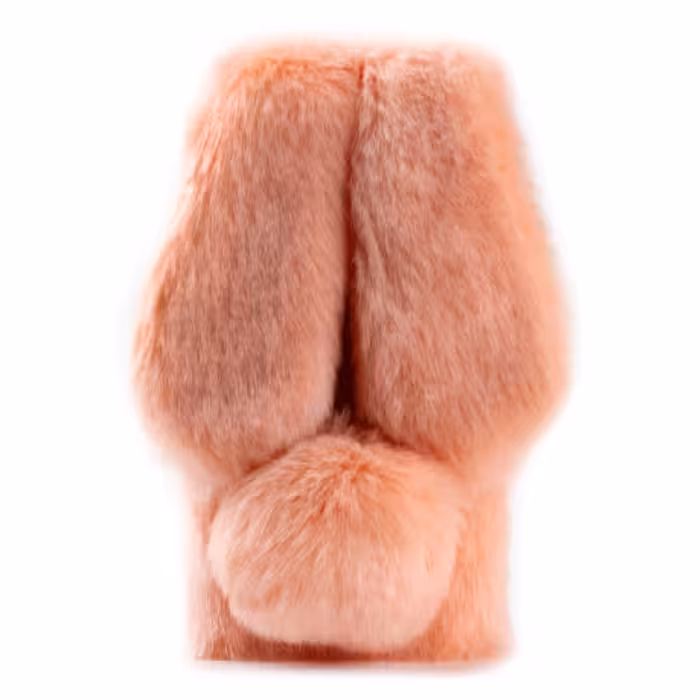 کاور مدل خرگوشی air مناسب برای گوشی موبایل اپل Iphone 13 pro Max