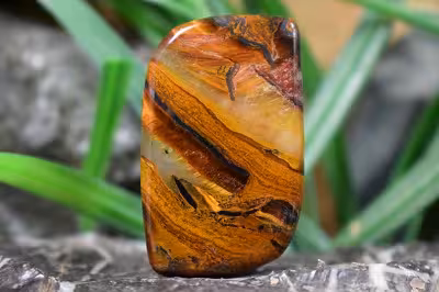 چشم ببر اهنی