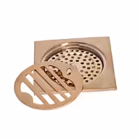 کف شور ایلگار