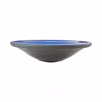 تخته تعادل پرو اسپورتز مدل Fiberglass_Pro