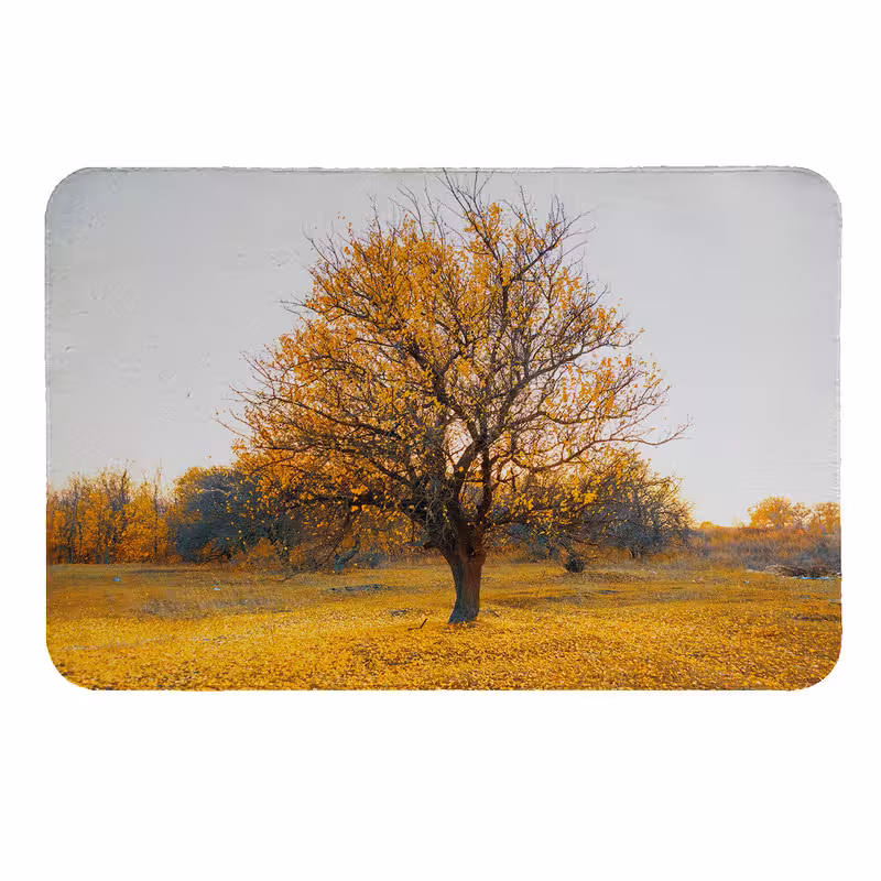 رطوبت گیر کنار سینک کد 5478 | کالا مکس