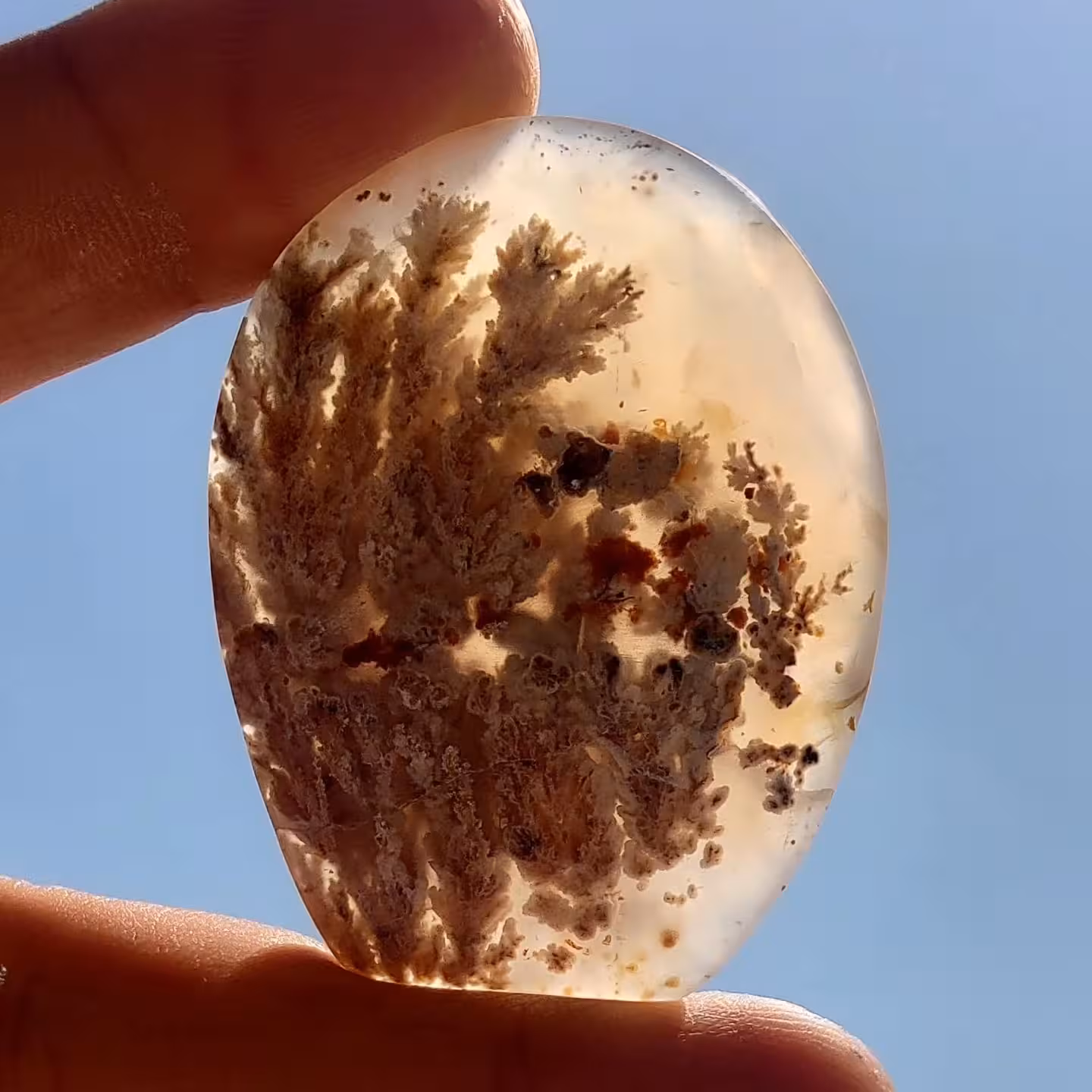 عقیق شجر گل گندمی کلکسیونی