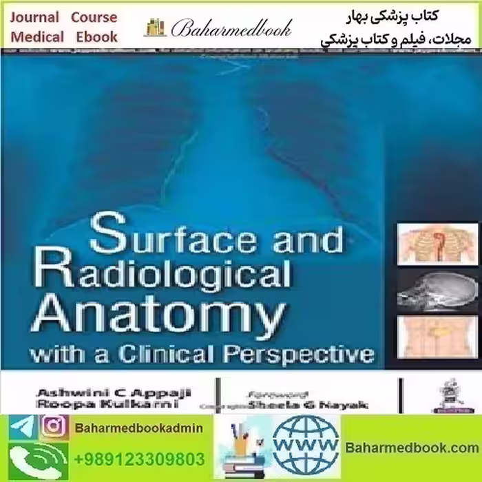 Surface and Radiological Anatomy With a Clinical Perspective