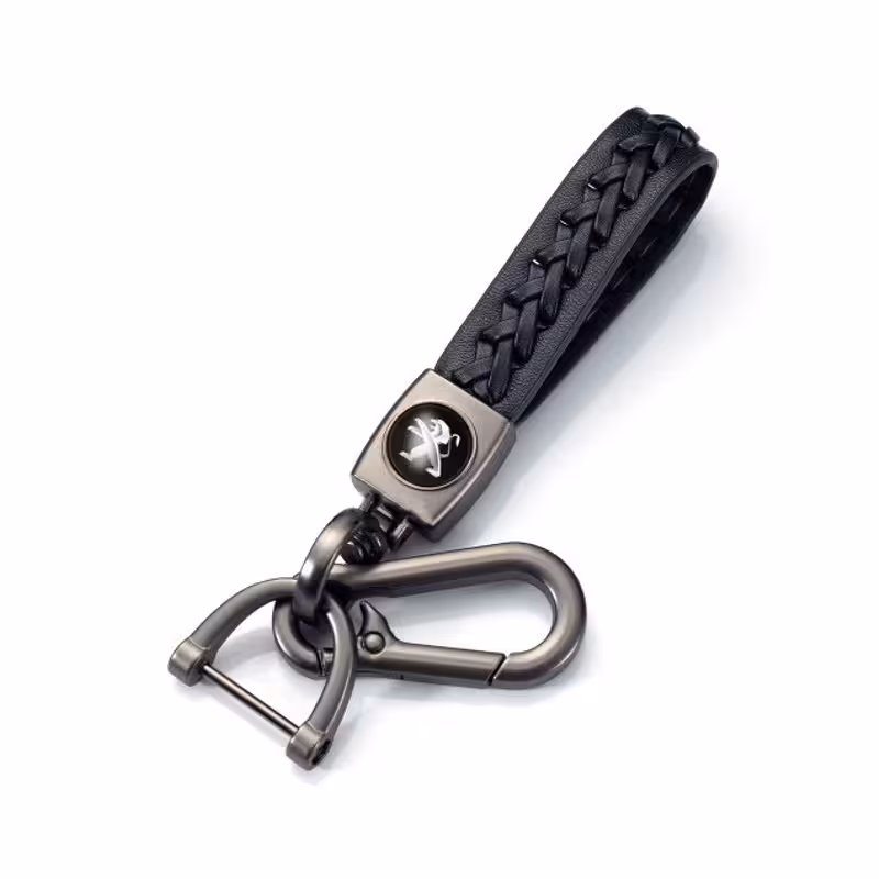 جاسوئیچی خودرو پژو کد z7575 | کالا مکس