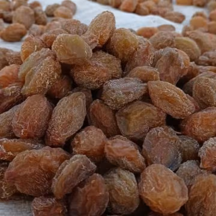 آلو خوانسار.آلو آفتاب خشک