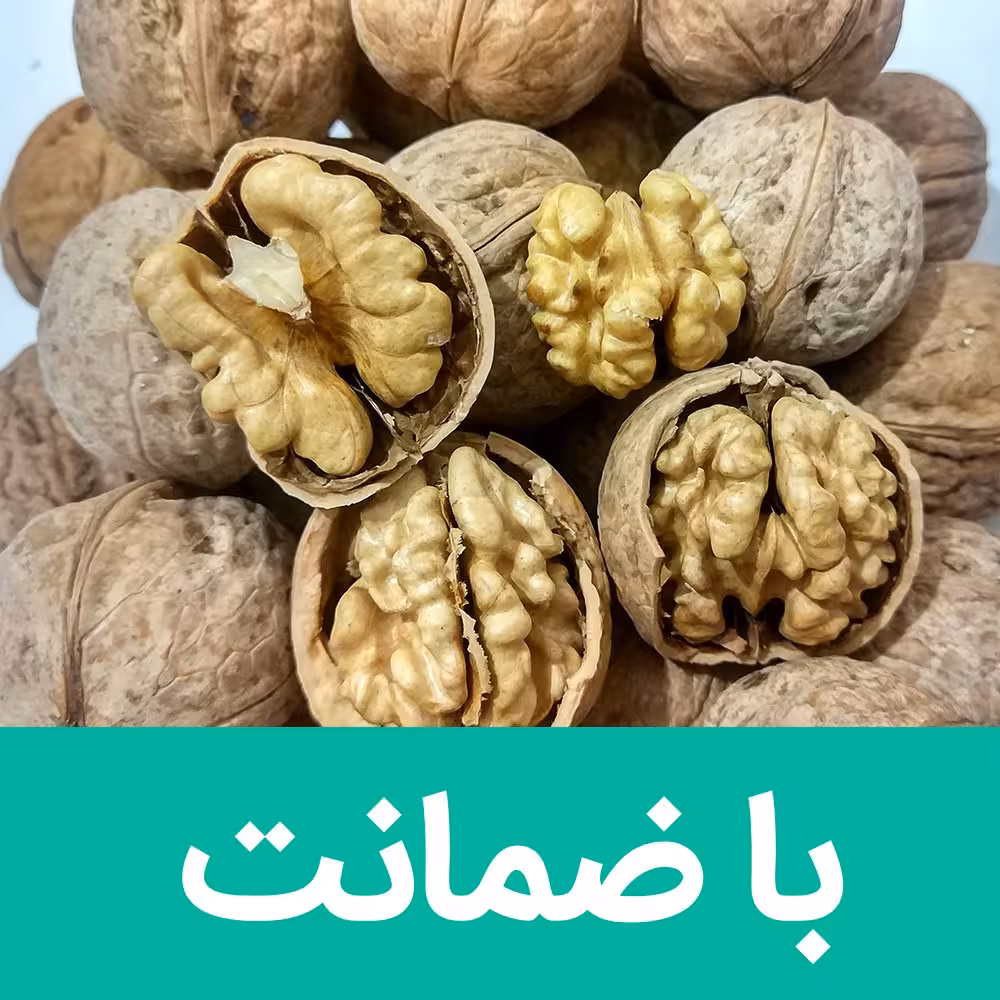 گردو با پوست ایرانی امساله مستقیم از کشاورز باکیفیت و پرچرب(1کیلوگرمی)