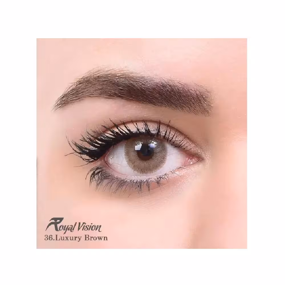 لنز رنگی رویال ویژن Royal Vision Daily Lens 36 Luxary Brown - فروشگاه میرکمالی