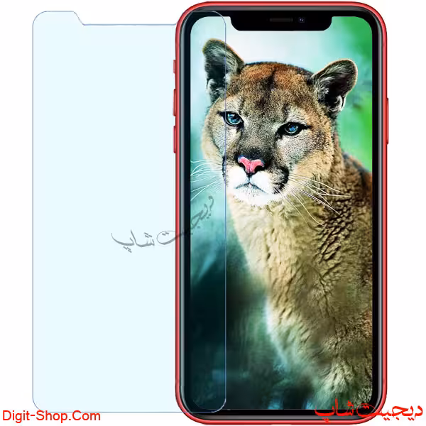 گلس اپل آیفون 11 iPhone