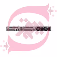 HPE DL365 G11 9124 64GB 8SFF MR408 2x480GB 2x1000W P78090-425