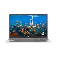 لپ تاپ اچ پی مدل HP 15 - fc0290AU