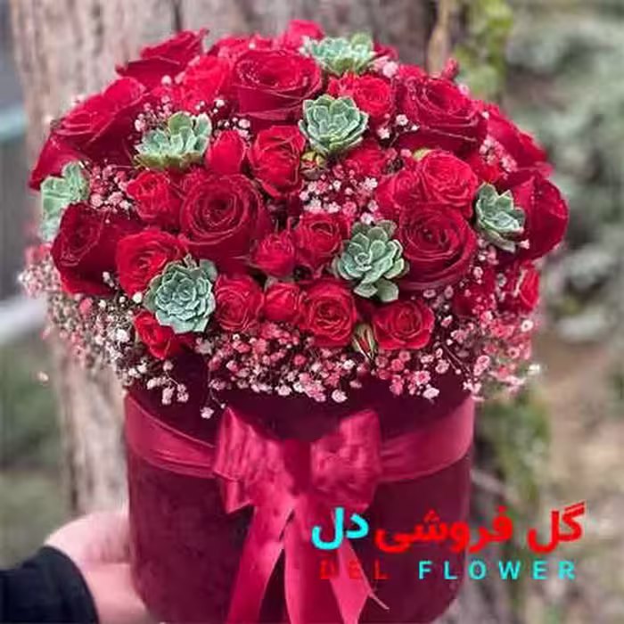 هدیه شب یلدا مردانه