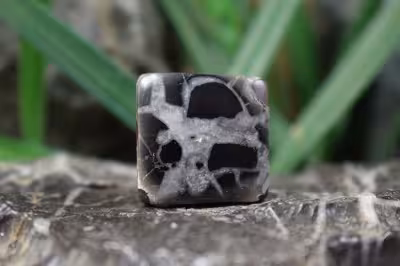 سپتارین مراکش اصل و طبیعی