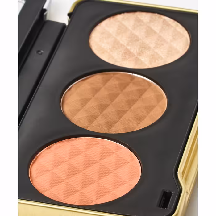 پالت هايلايتر پودري مدل پاتريشيا برایت رولوشن REVOLUTION