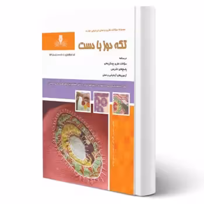 کتاب تکه دوز با دست (نقش آفرینان)