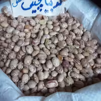 لوبیا چیتی محلی زود پزچهارمحال وبختیاری(800گرمی)