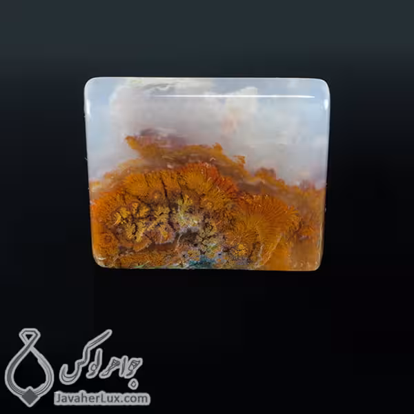 نگین عقیق شجر دریایی _ کد : 400258