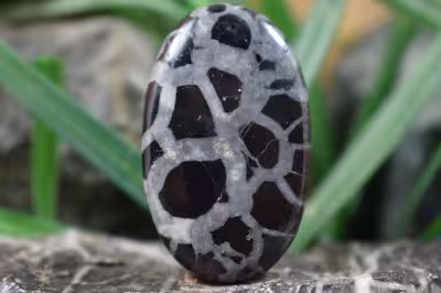 سپتارین مراکش اصل و طبیعی