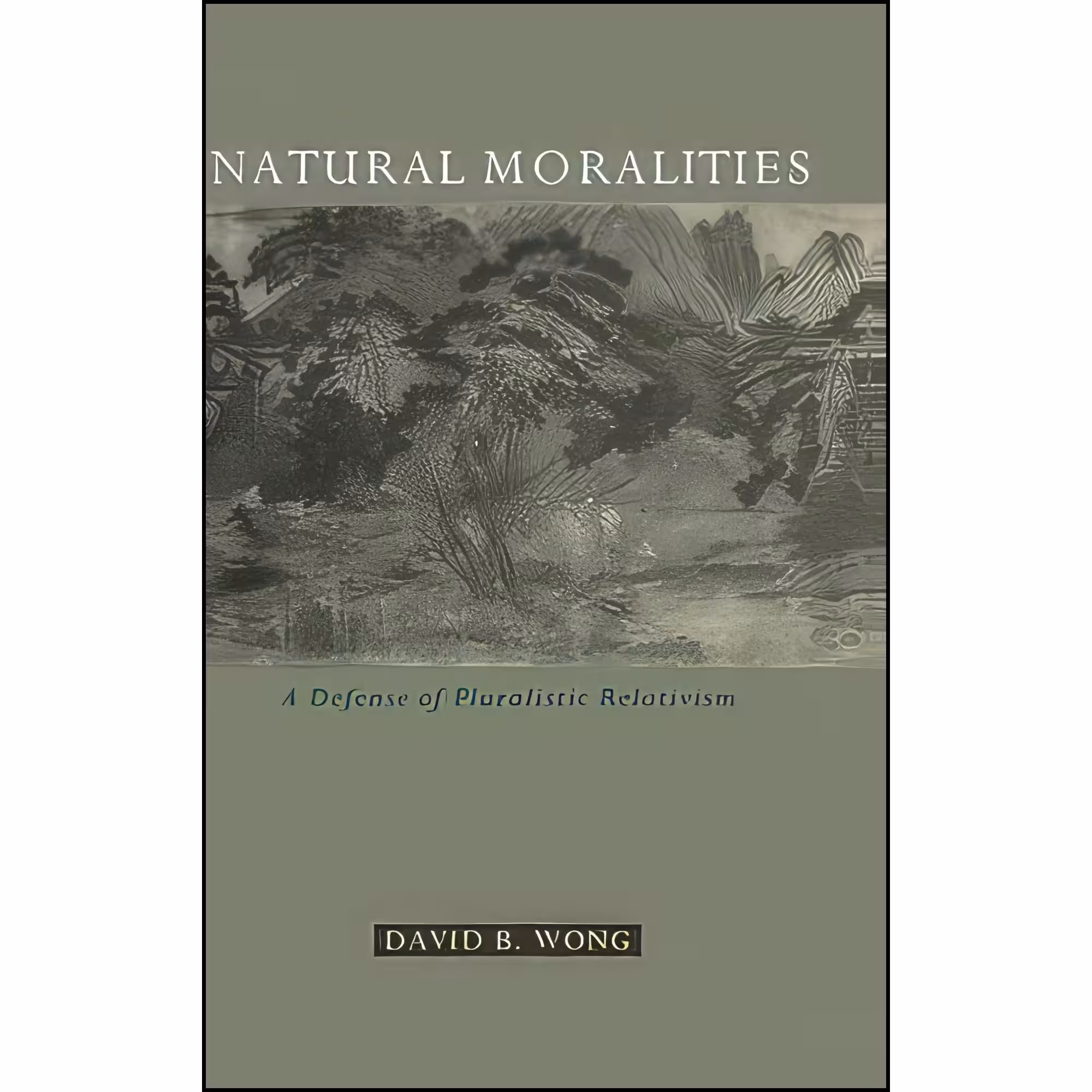 کتاب زبان اصلی Natural Moralities اثر David B Wong