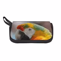 خرید و قیمت جامدادی طرح طوطی کد 6664