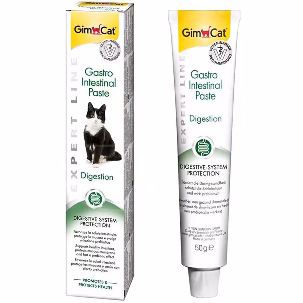 خمیر مکمل دستگاه گوارش جیم کت مدل Gastro Intestinal Paste  وزن 50 گرم