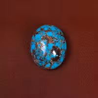 نگین فیروزه شجری کد 29517 - جواهری مشاهیر