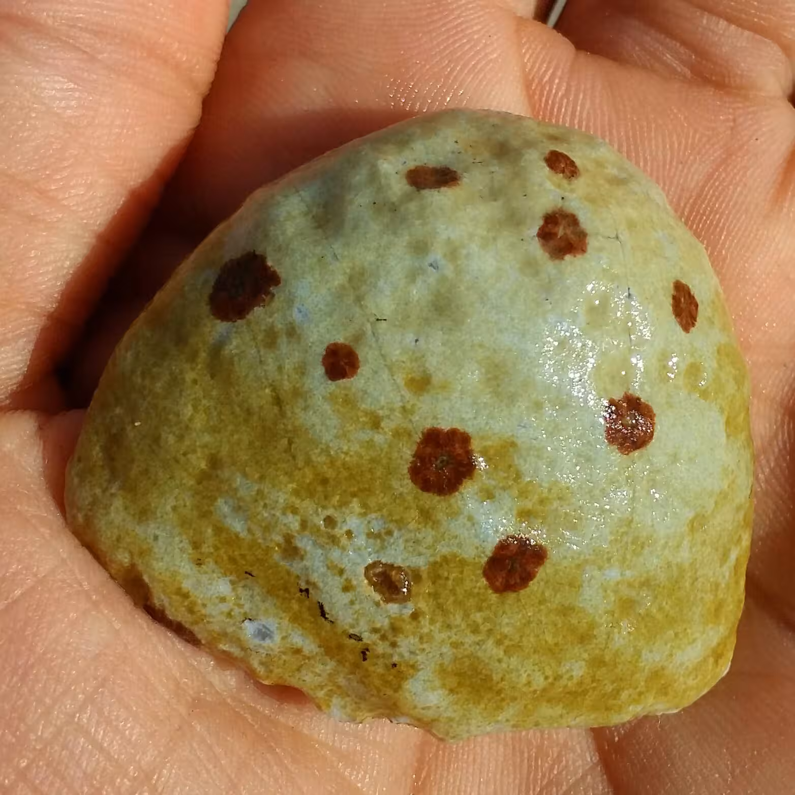 سنگ راف خام عقیق برش نخورده طرحدار 1000 چشم 100 در 100 طبیعی سرشار از خواص شاهکار خلقت
محشر
کد 9422