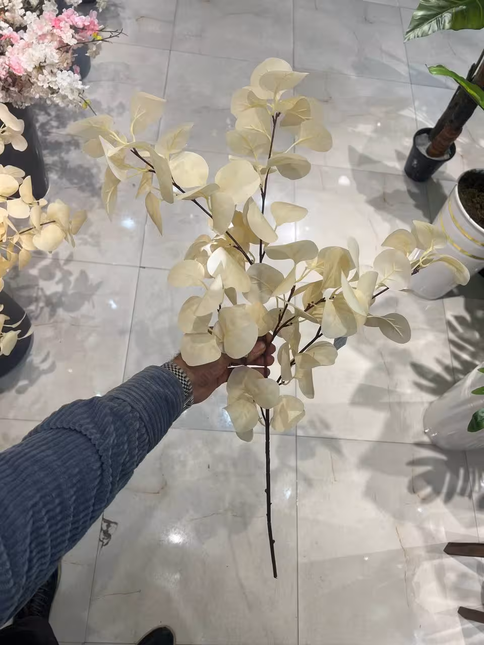 بوته مصنوعی سکه ای