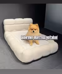 تخت تدی  به همراه تشک مخصوص پت گربه و سگ