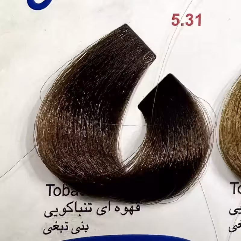 قهوه ای تنب اکویی 5.31 ،رنگ مو کم آمونیاک پیلون ویک عدد اکسیدان | amazonchi