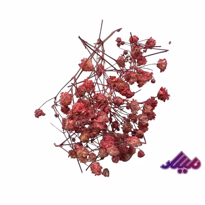گل خشک ژیپسو صورتی G48