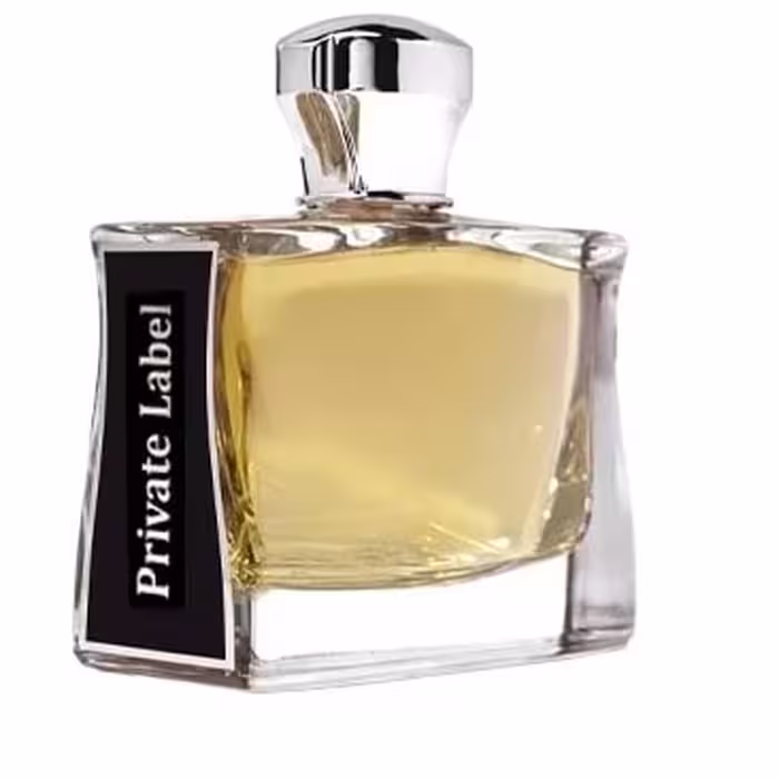 ROPIKO PRIVATE LABLE 100 ml - ادوپرفیوم مردانه روپیکو پرایوت لیبل 100 میلی لیتر - نگین عطر