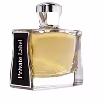 ROPIKO PRIVATE LABLE 100 ml - ادوپرفیوم مردانه روپیکو پرایوت لیبل 100 میلی لیتر - نگین عطر
