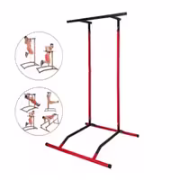 بارفیکس مدرج مرکزی ایستاده barfix standing