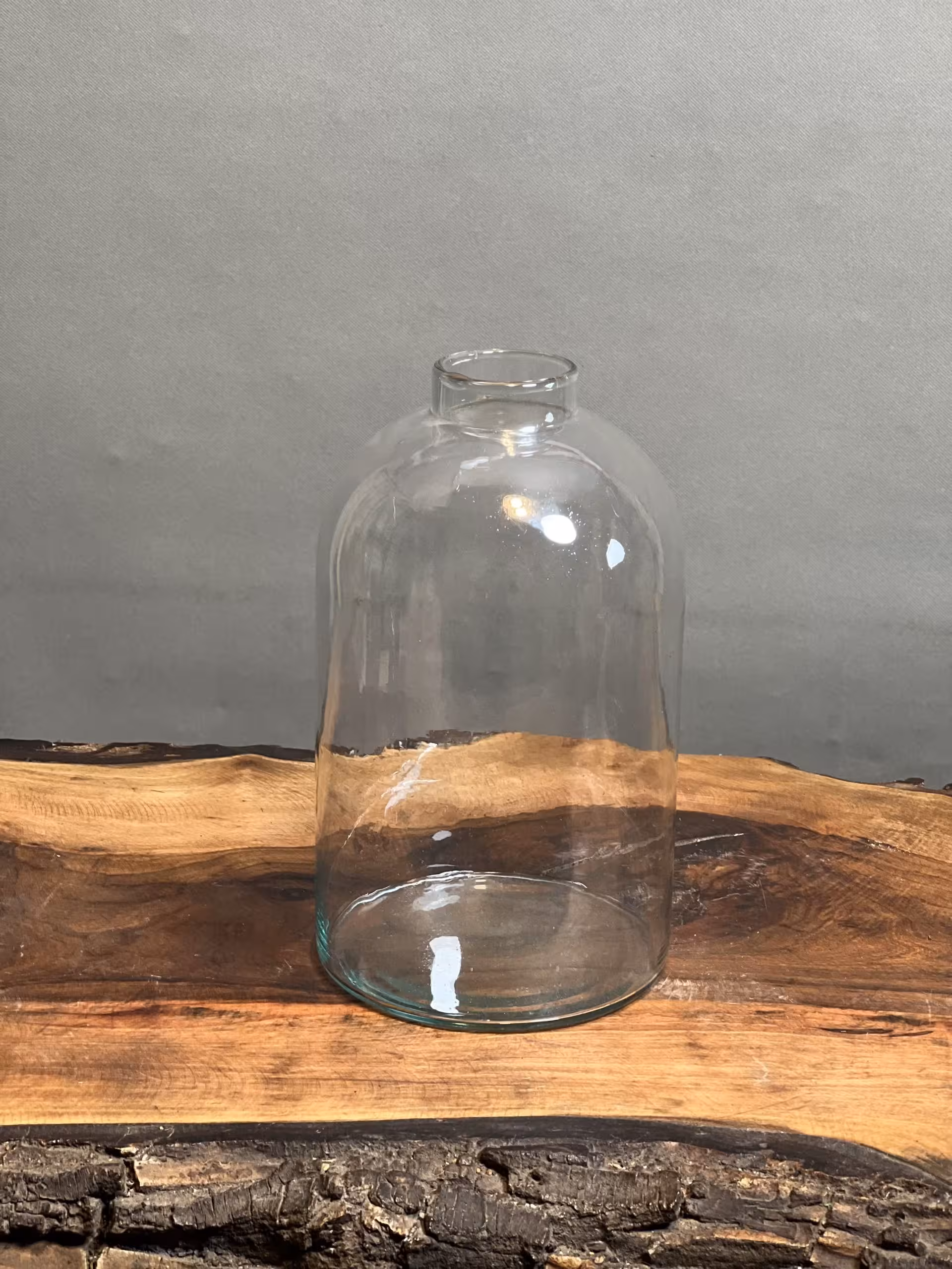 قیمت و خرید شیشه بامبو رومیزی از فروشگاه پلنت لند