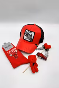 پک هدیه گورین shark