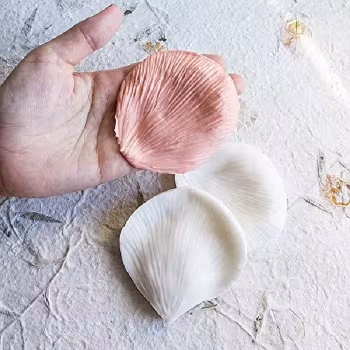 ابزار تزیین کیک بهگز مدل گل رز مجموعه 9 عددی