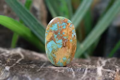 فیروزه نیشابور