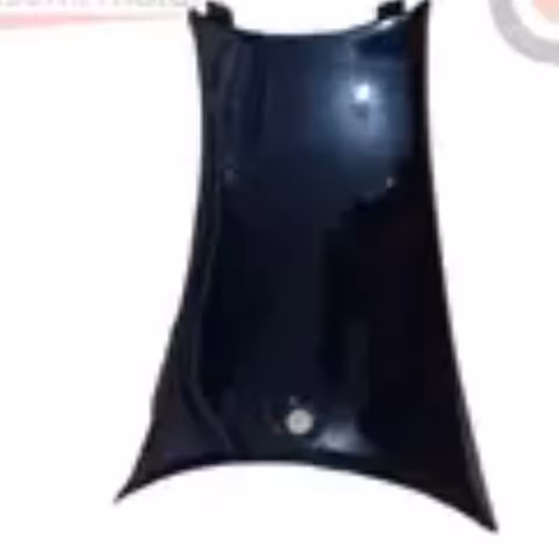 شتری کوچک وسط پالونی ویو | amazonchi