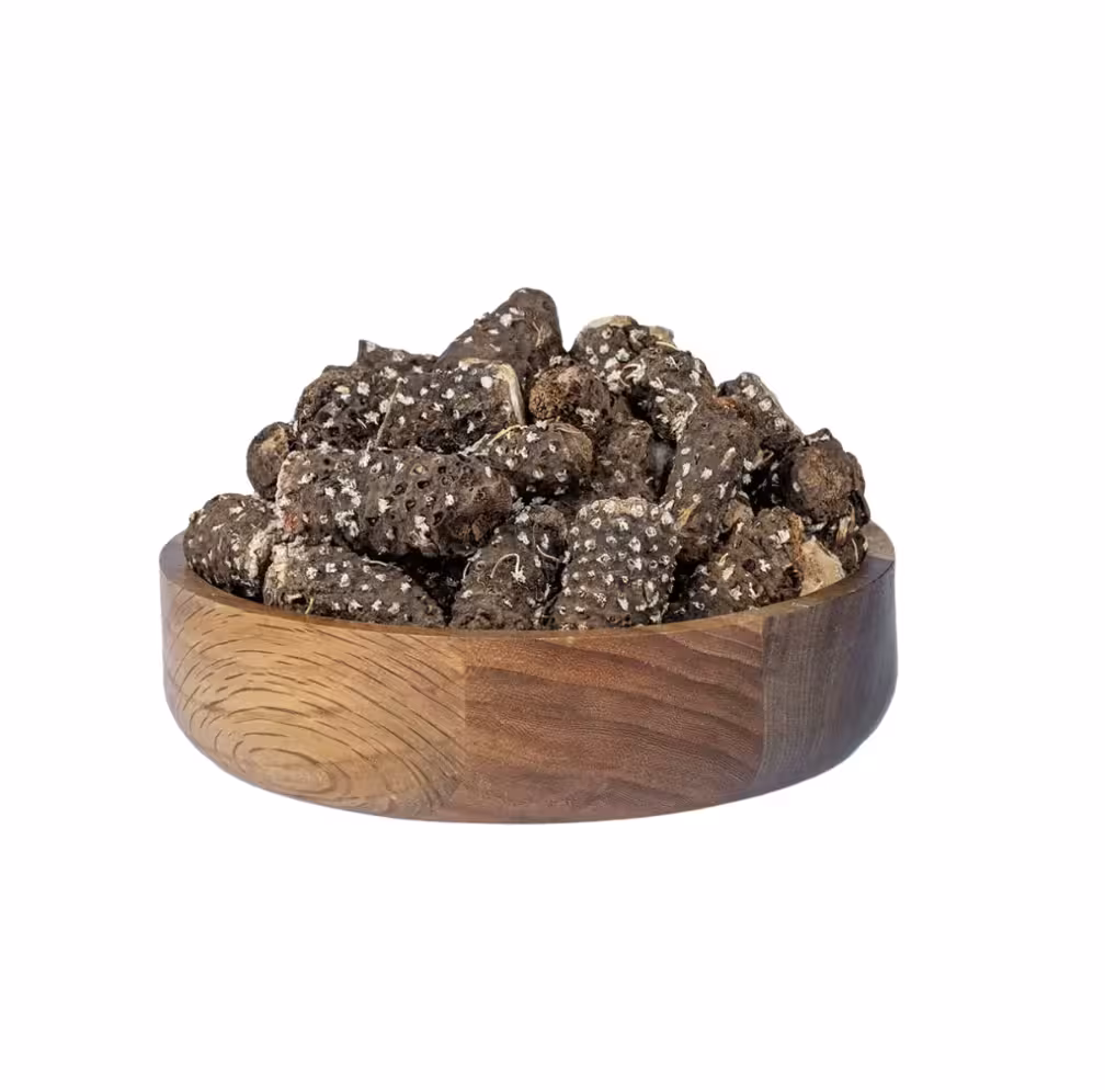 ریشه کندش سوریه [کندوش]