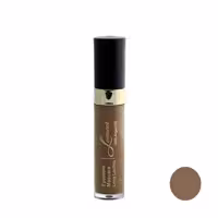 ریمل ابرو لوسمنت حاوی روغن آرگان و آلوورا شماره 02