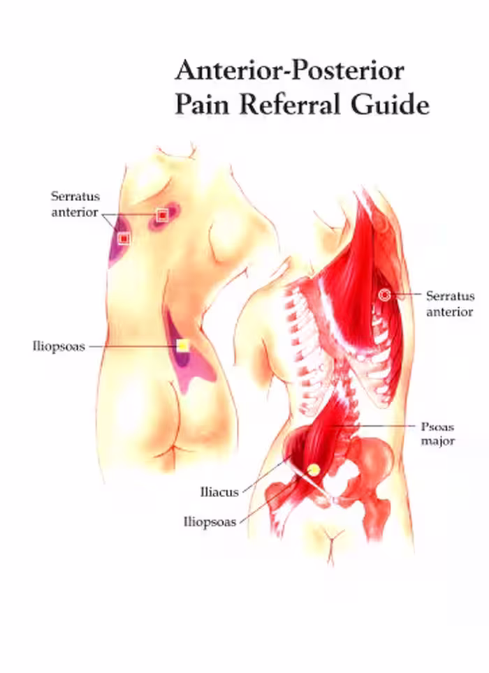 خرید و دانلود نسخه کامل کتاب Color maps - Trigger points / Цветные схемы - Триггерные точки