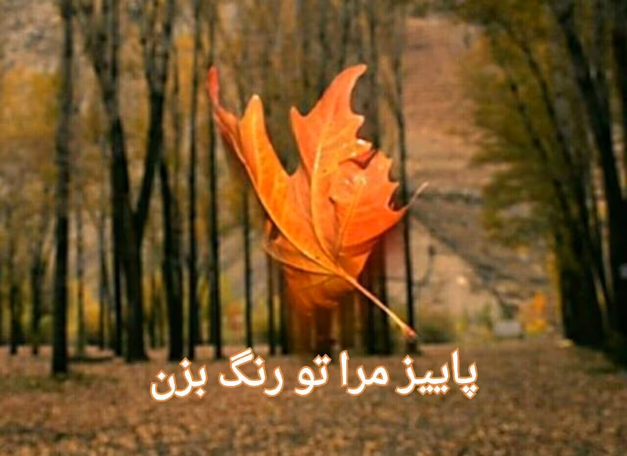 رمان پاییز مرا تو رنگ بزن pdf