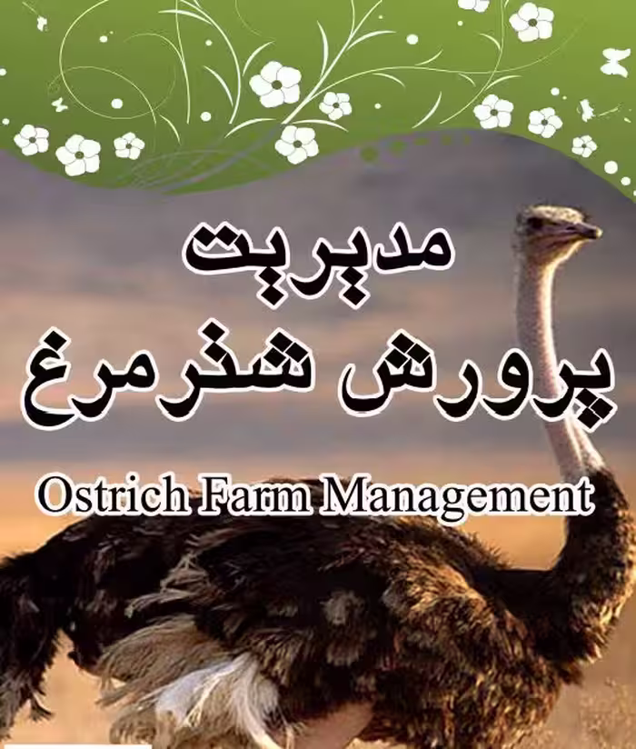 کتابچه مصور مدیریت پرورش شترمرغ