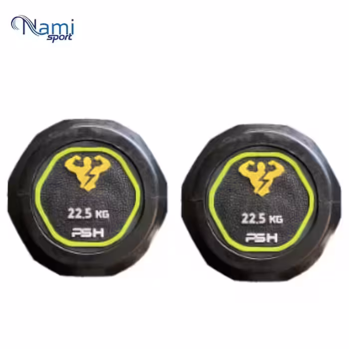 دمبل گرد وزن 22.5 کیلوگرم